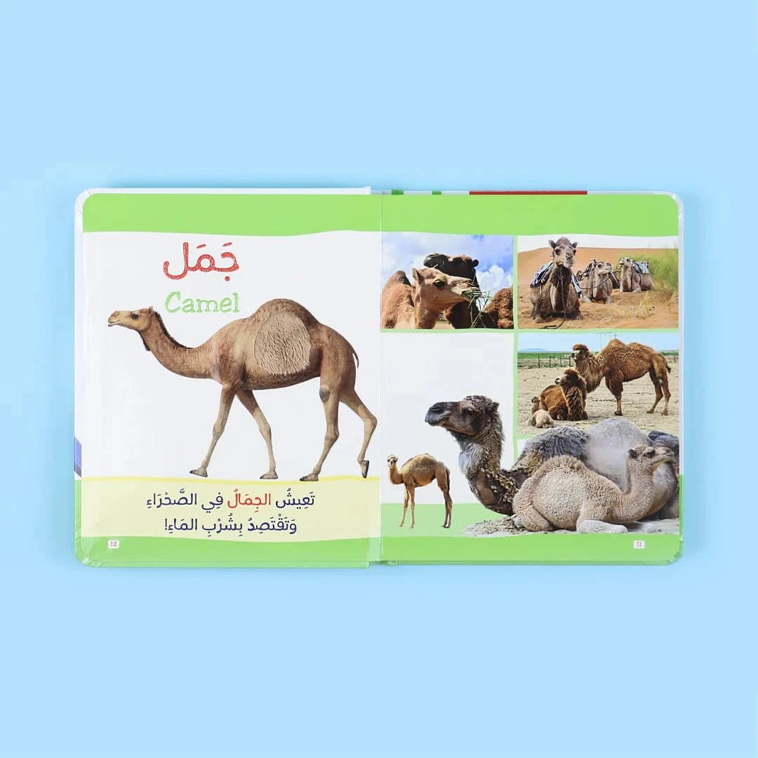 كتاب مونتيسوري الأول: الحيوانات باللمس Al - imen